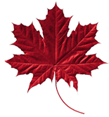 Red Canadian Maple Leaf Image